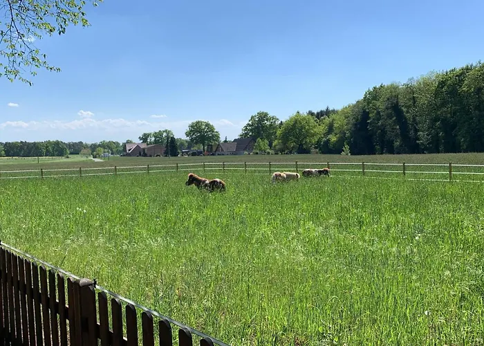 Bartholdskrug By Mini 乡村民宿